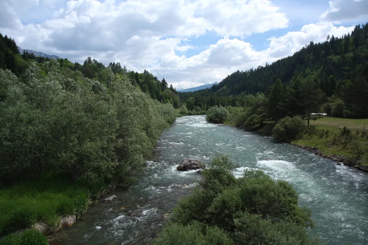 The Avisio river flowing through a forested valley near Cavalese, with mountains in the background
