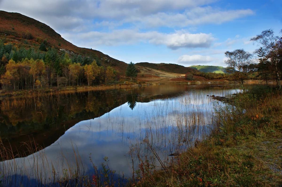 Still upland lake surrounded by autumn-coloured trees and heather-covered hills, reeds in the foreground, near Betws-y-Coed in Snowdonia.