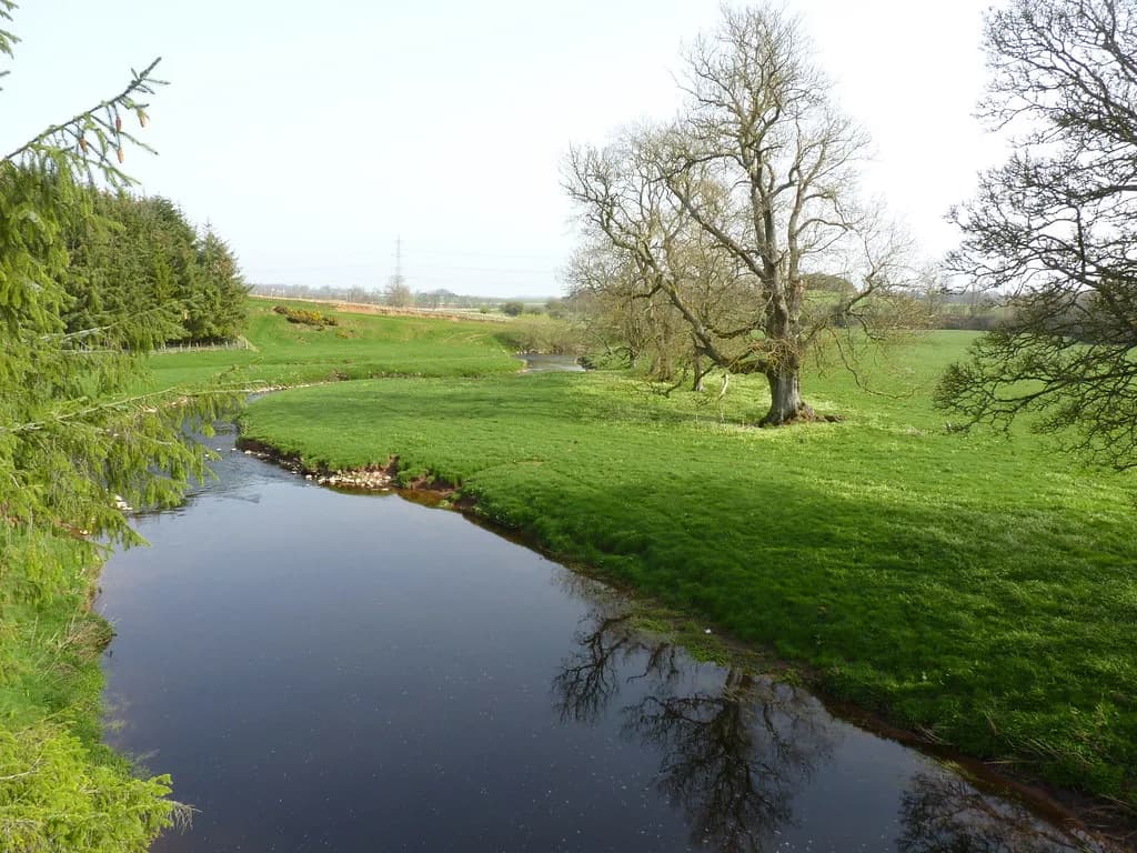 A meandering lowland river, the Blackadder Water, curving through green pasture with mature trees on its banks.