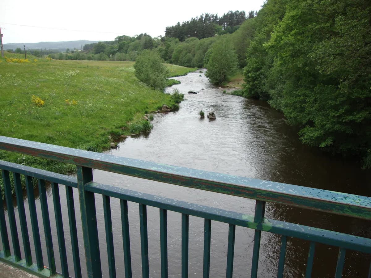 The Lignon du Velay river flowing through meadows near Tence, Haute-Loire, France