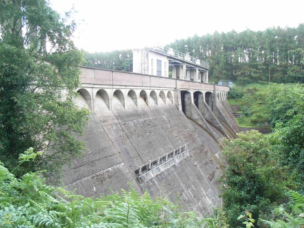 Pollaphuca / Blessington Lakes — File:Poulaphouca Dam.JPG