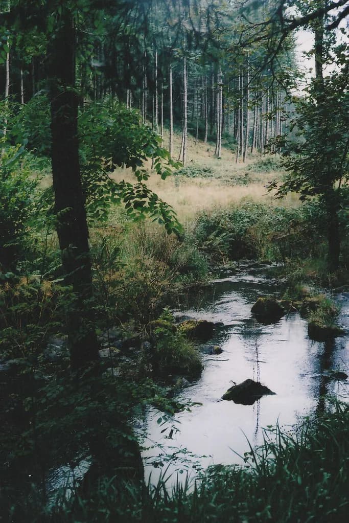 River Vartry — River Vartry, Wicklow, Ireland