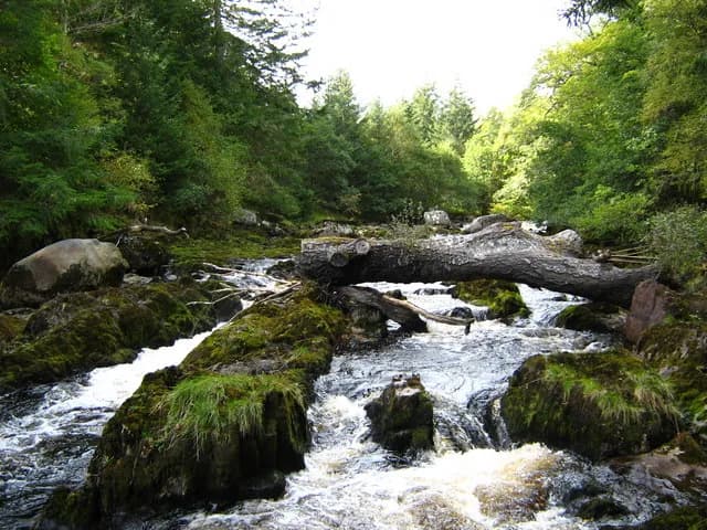Fast-flowing rapids on the River Averon, also known as the River Alness, in the Scottish Highlands.