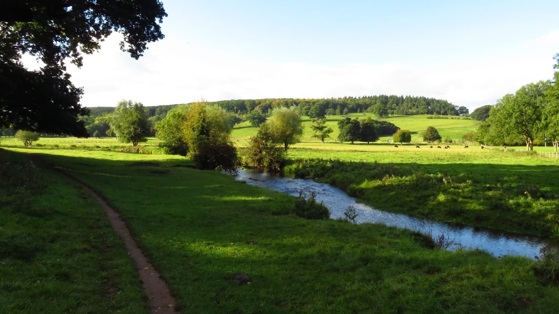 Wide view of the River Clwyd valley from a footpath on the southwest side of Ruthin.