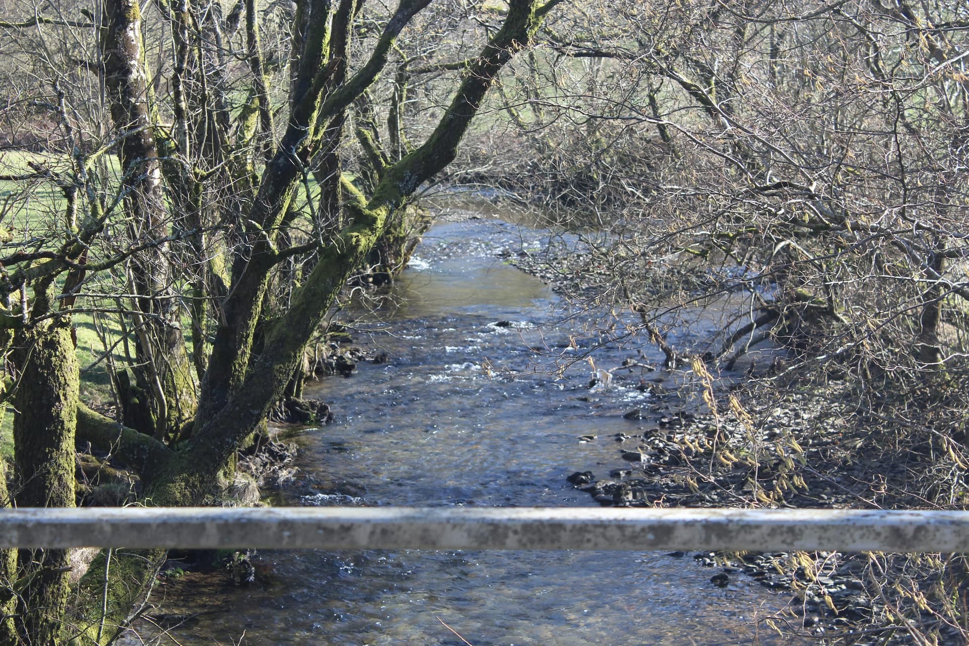 A wide clear run of the River Cothi near Llwyn-y-ceiling in winter low water, with wooded valley sides and pale gravel banks.