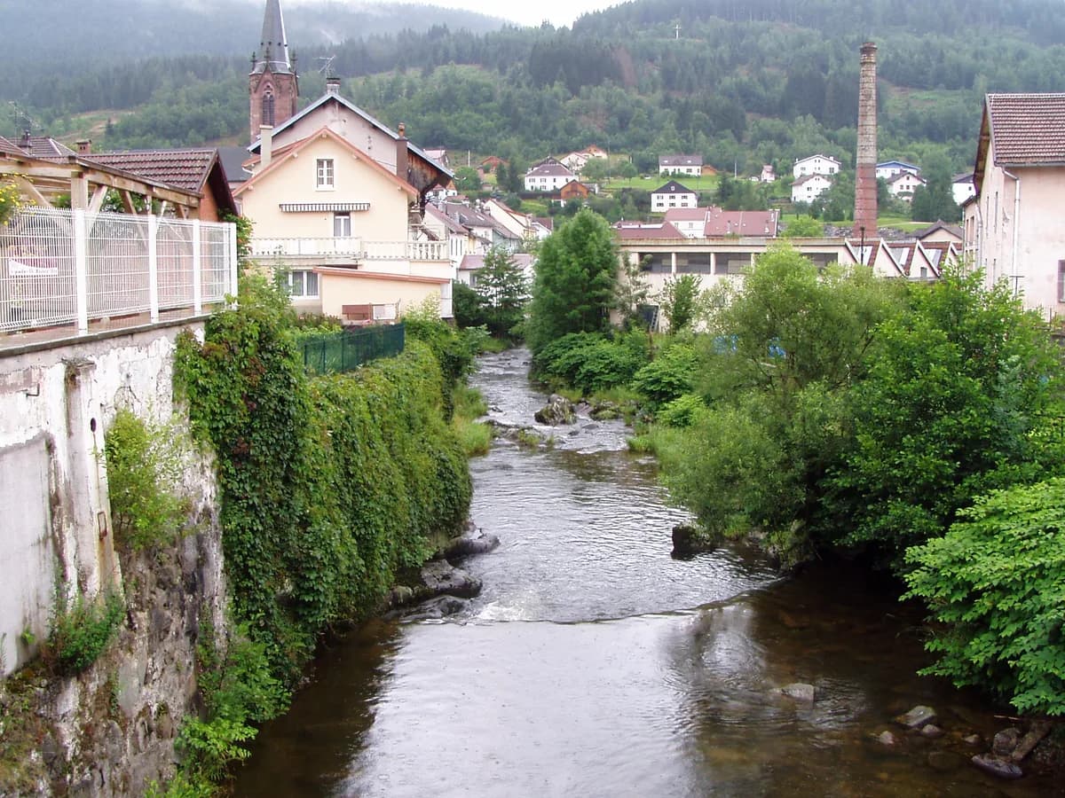 Photo of Moselotte