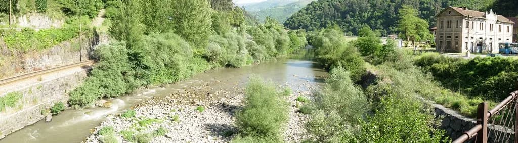 The Río Aller, a gravel-bedded river lined with trees, flowing through a green valley near Bustiello, Asturias, Spain.