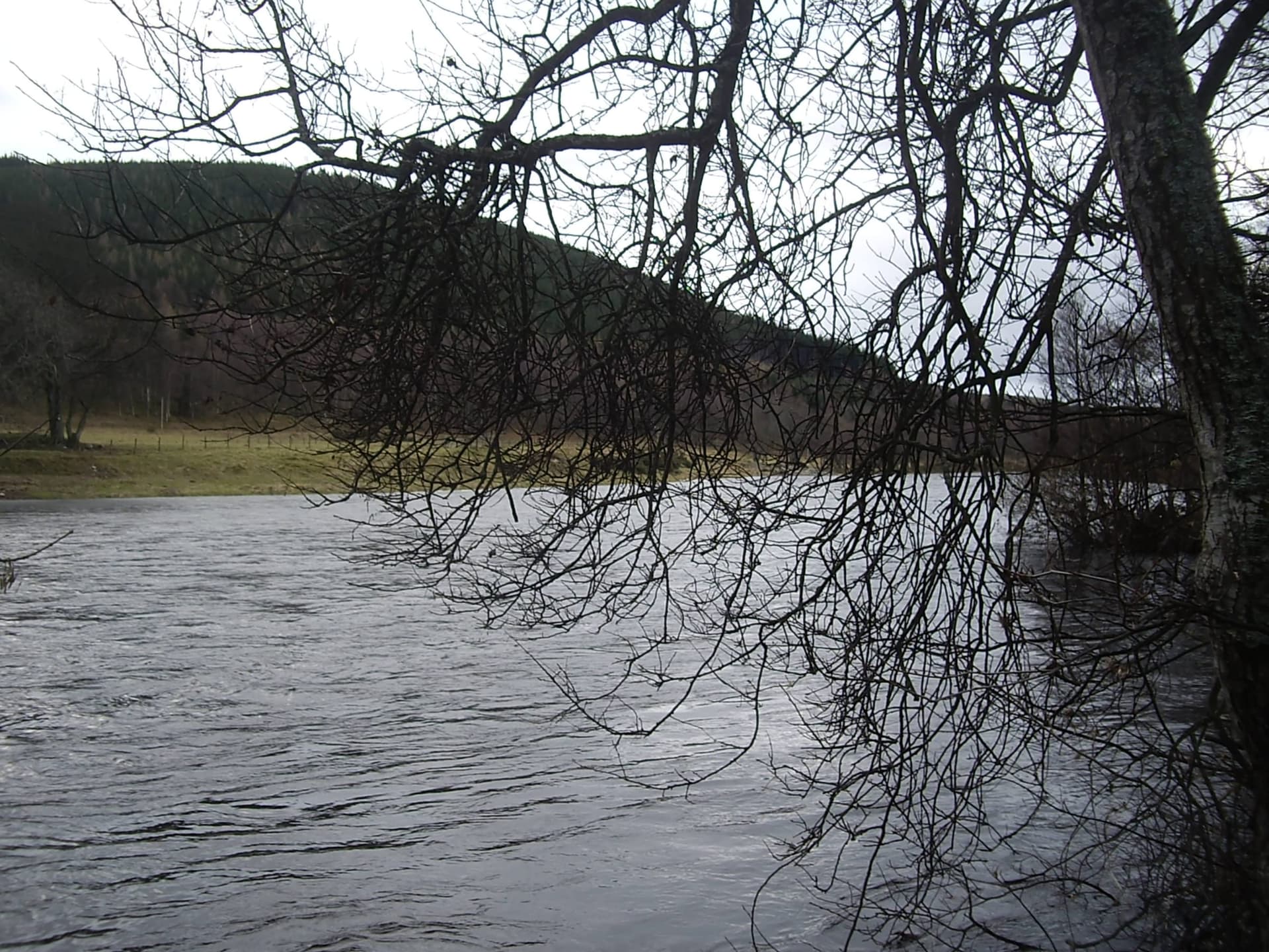 The River Dee at Ballater, Aberdeenshire, with clear water over a gravel bed and wooded banks.