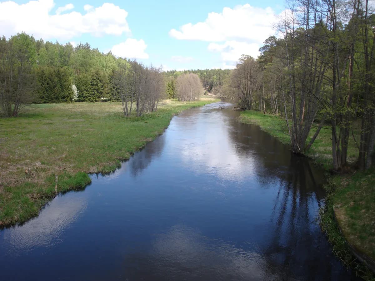 Wda — Wda river near Błędno
