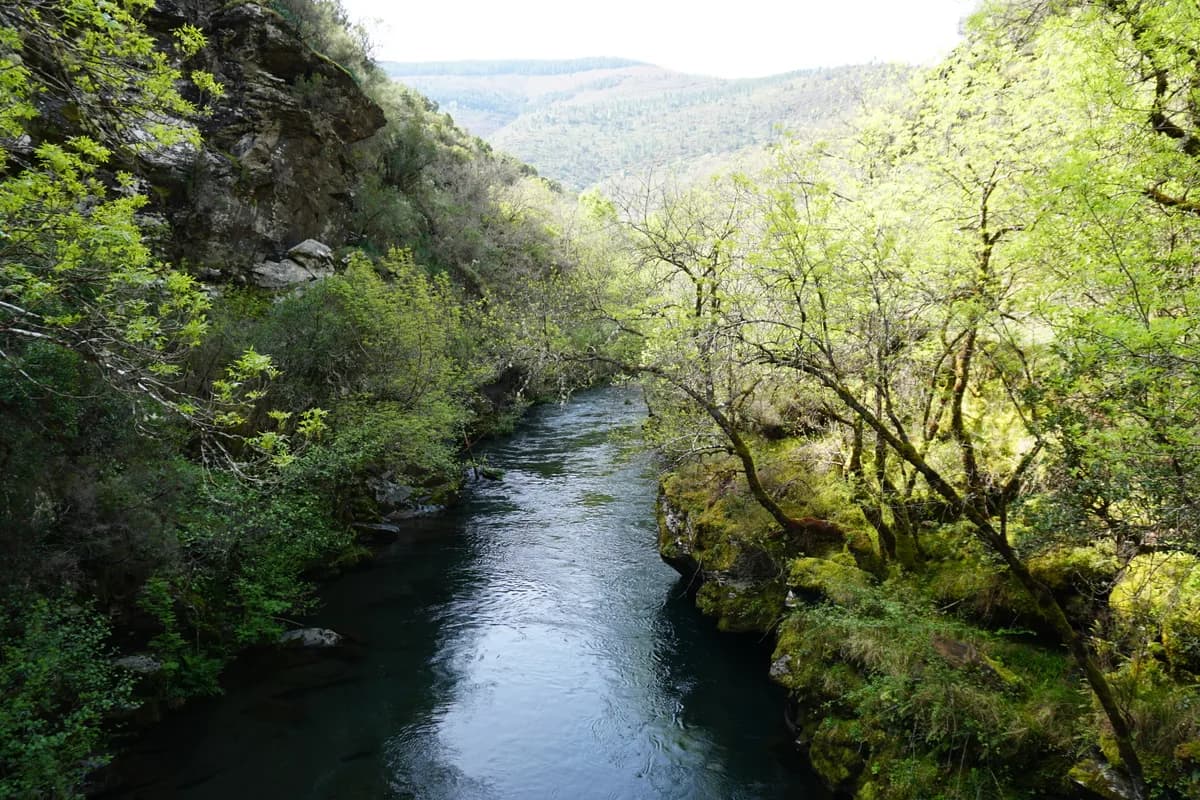 Río Lor — DSC02027 El Río Lor cerca de Vilar (Courel, Lugo, Galicia)