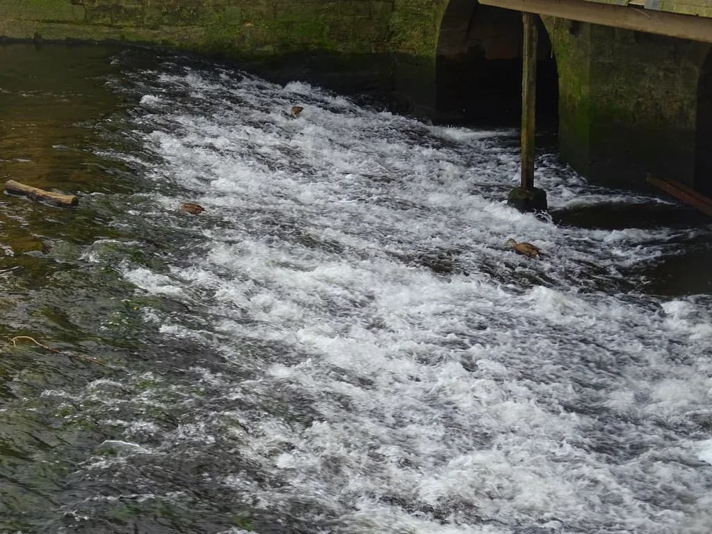 Fast white water pouring over a weir on the Elorn river at Landerneau, with ducks resting on the flow, in Finistere, Brittany, France.