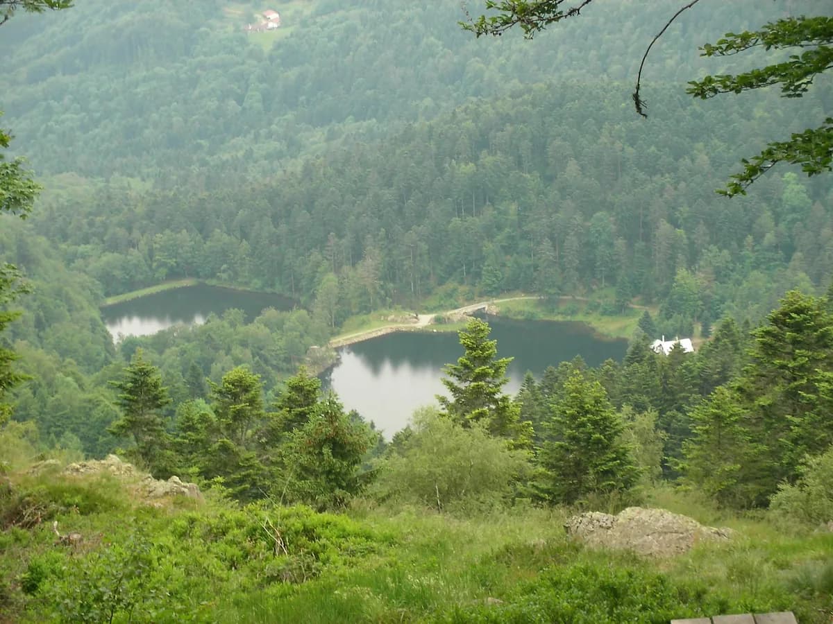 Aerial view of the two Neuweiher lakes surrounded by dense forest in the Vosges mountains, Haut-Rhin, France