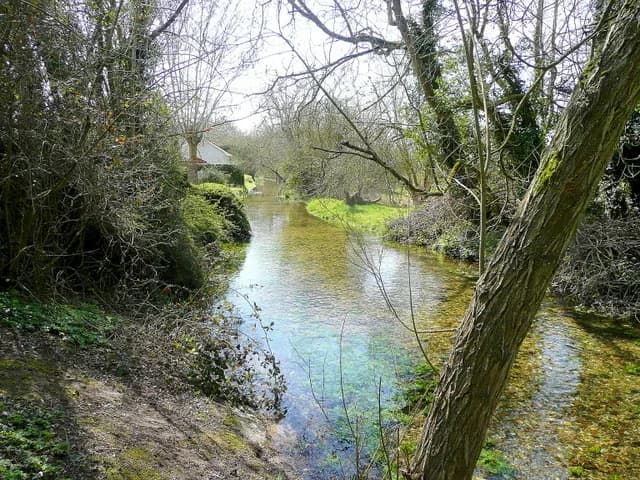 The River Bourne chalk stream flowing through Idmiston near Salisbury, Wiltshire