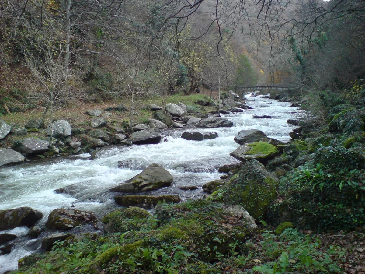 Photo of East Lyn River
