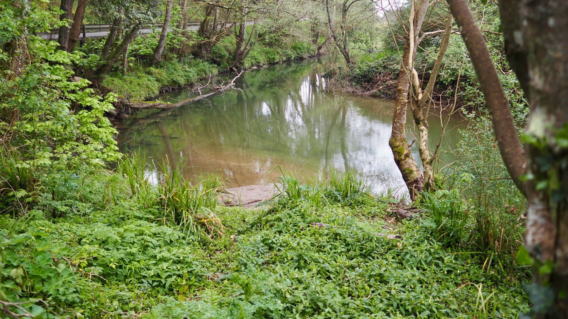 Río España fishing venue photo