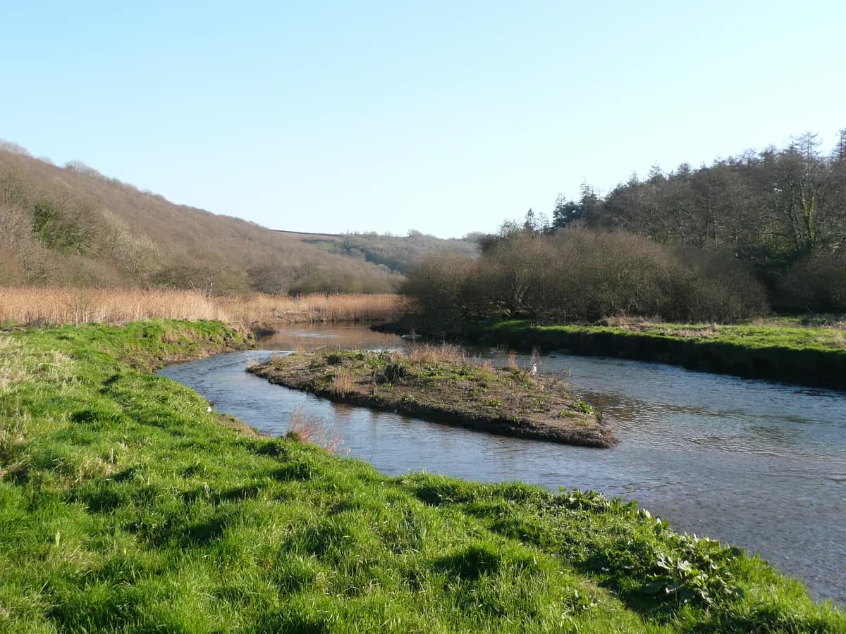 Photo of River Camel