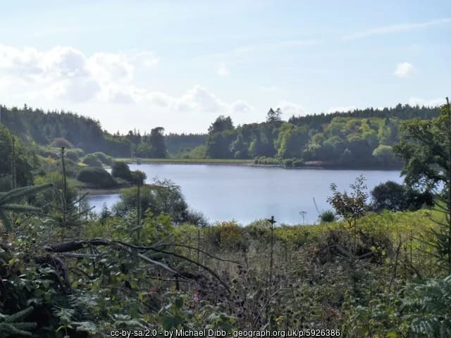 Wide view of Kennick Reservoir surrounded by forest on the edge of Dartmoor, Devon