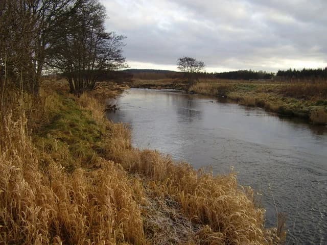 The River Deveron flowing through farmland reeds and pasture, Aberdeenshire, Scotland
