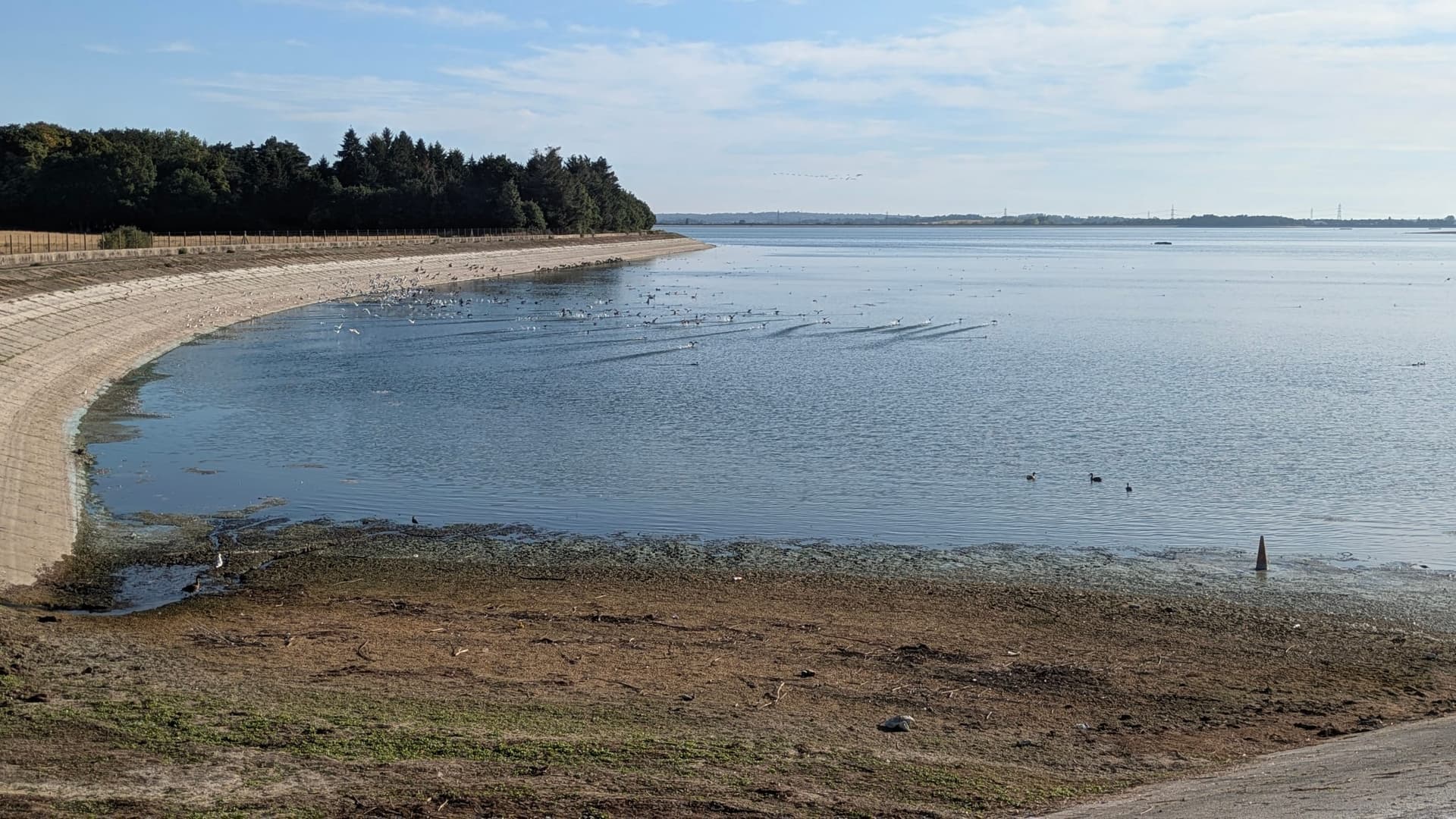 Hanningfield Reservoir on a summer day showing the open water surface and surrounding landscape.