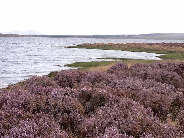Long view down the length of Carrowmore Lake, County Mayo.