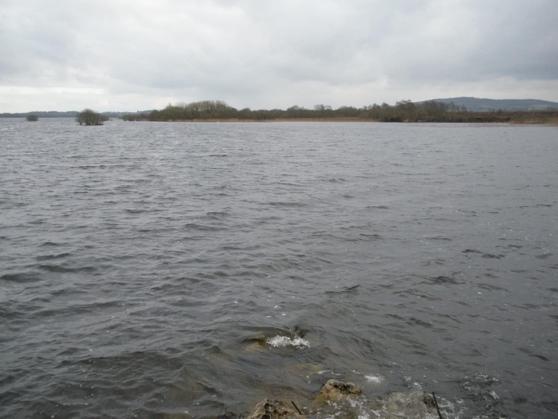 View across Lough Sheelin towards the Derrysheridan shoreline, broad open water with the far shore.