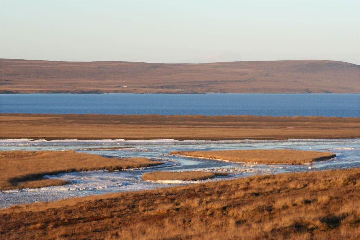 Icy marsh channels of the Austurá in the Miðfjörður valley, the blue fjord and moorland hills behind.