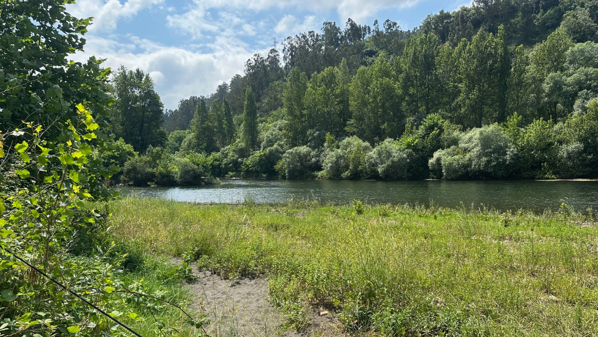 Río Nalón fishing venue photo