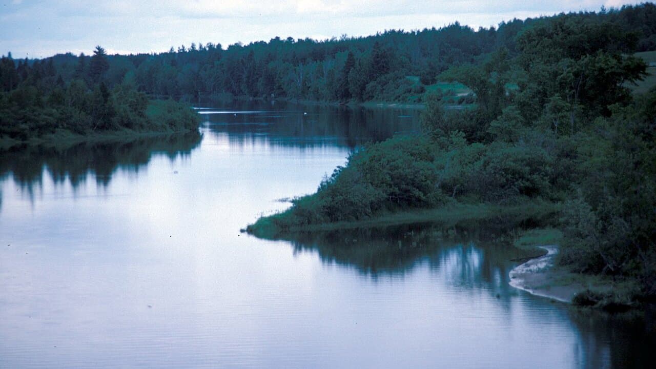 Northwest Miramichi fishing venue photo