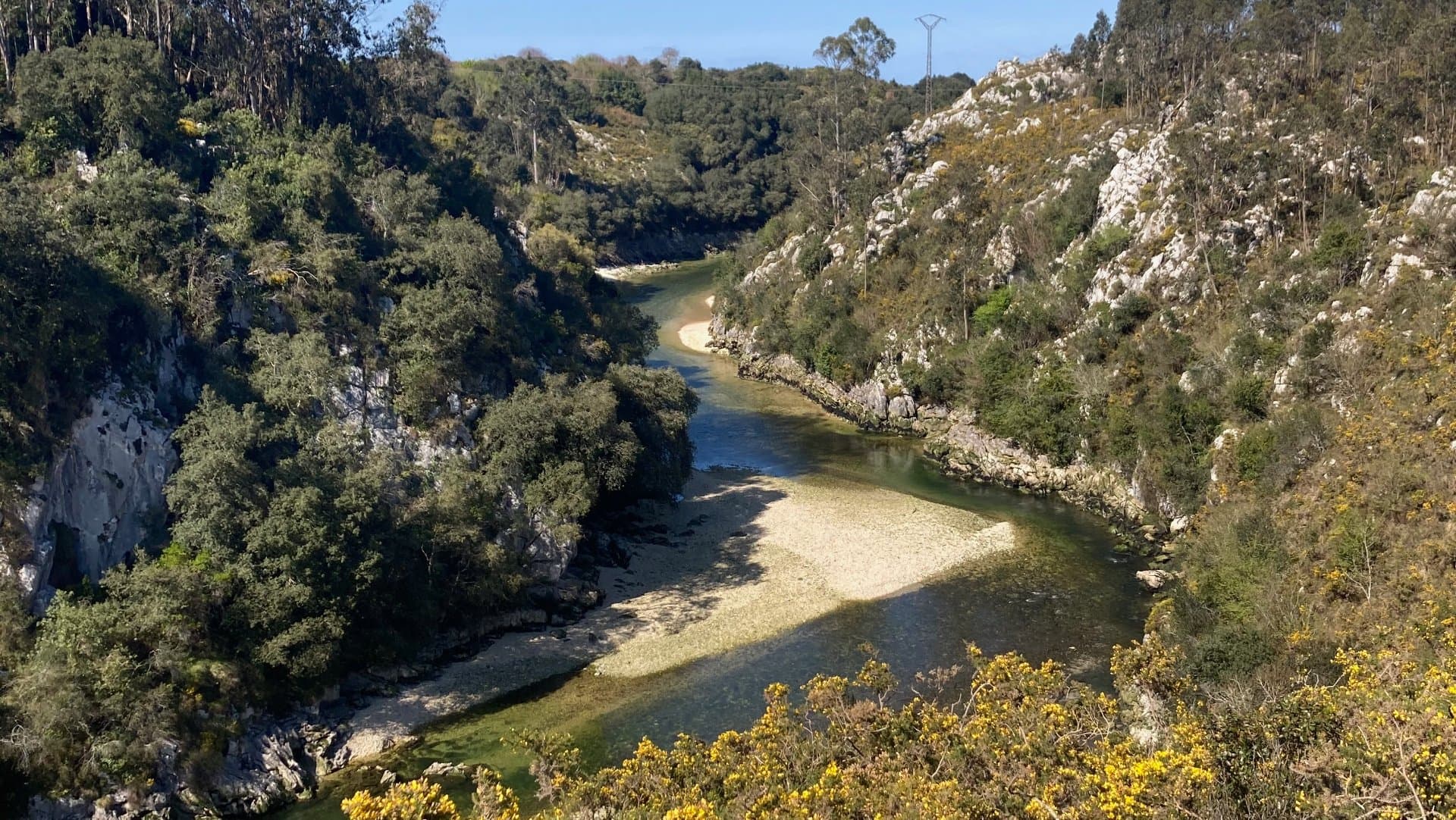 Río Purón fishing venue photo