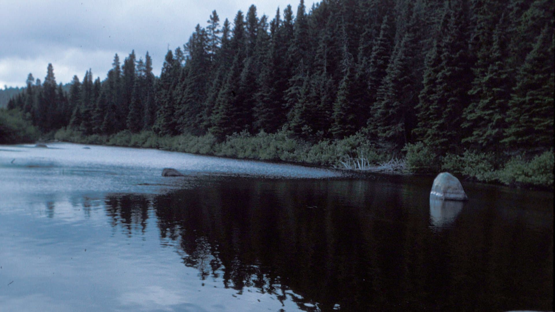 Renous fishing venue photo