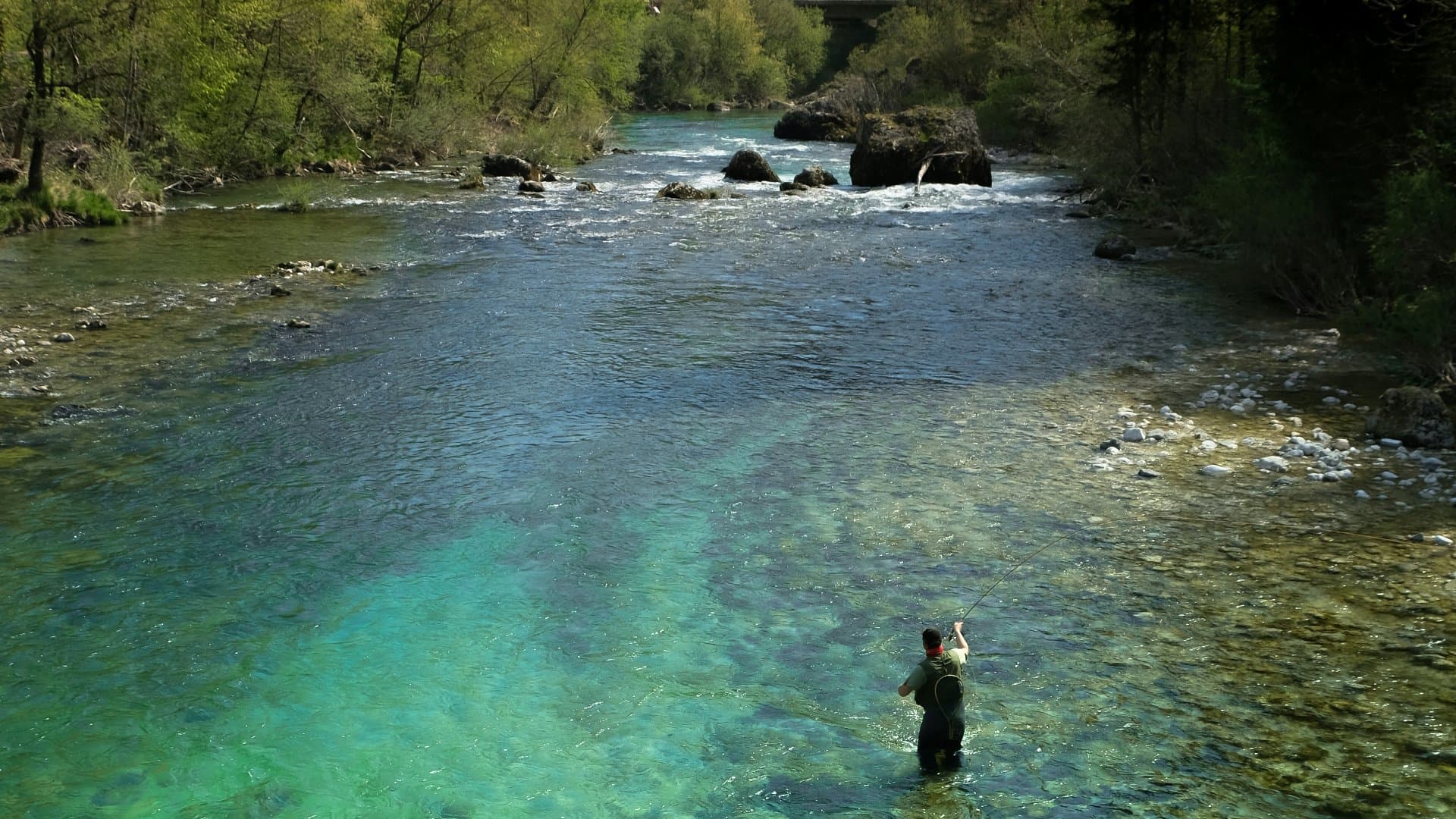 Sava Bohinjka fishing venue photo
