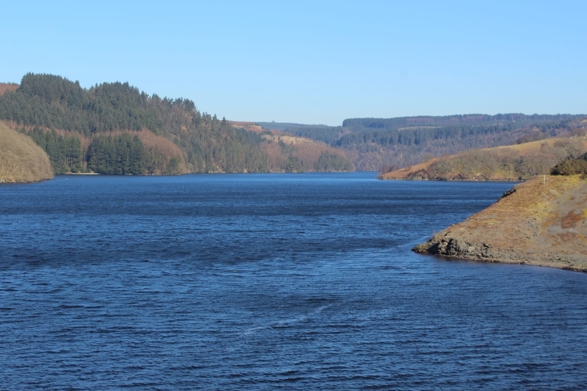 Llyn Brianne Reservoir from the western shore, open water toward the spillway with Tywi Forest on the far hillside.