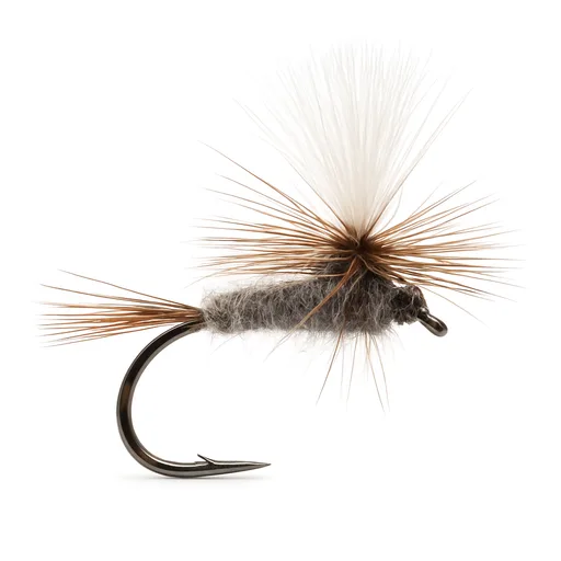 Adams Parachute