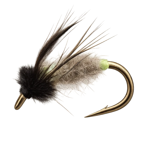 Peeping Caddis