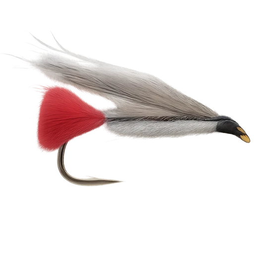 Black Nose Dace