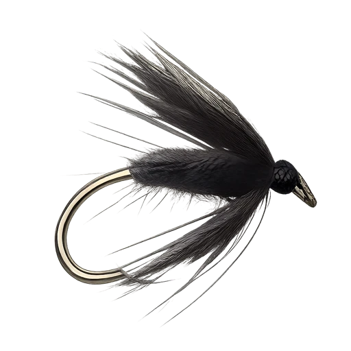 Black Spider