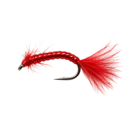 Bloodworm