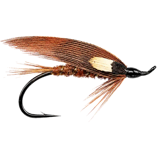 Brown Turkey