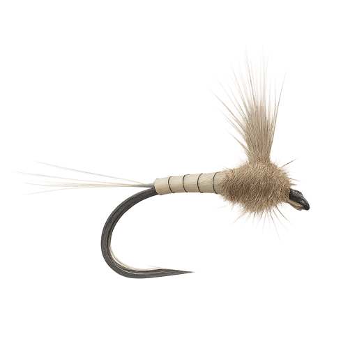 Callibaetis Cripple