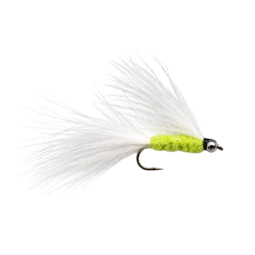 Cat's Whisker