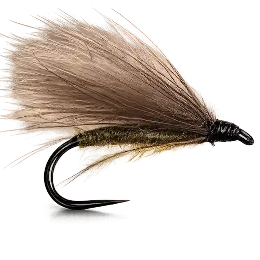 CDC Sedge