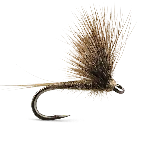 CDC Upright