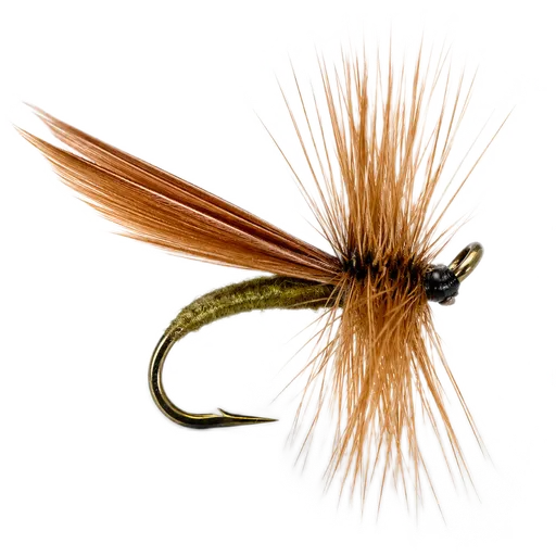 Cinnamon Sedge