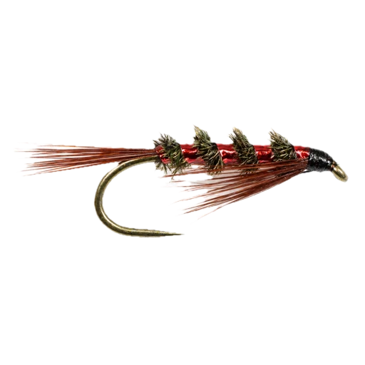 Diawl Bach