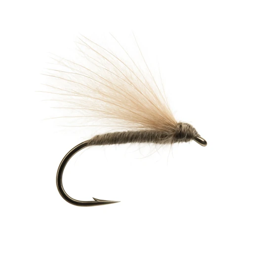 F Fly
