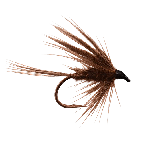Fiery Brown Dabbler