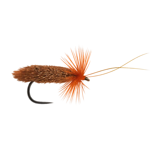 Fiery Brown Sedge
