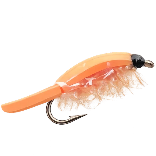 Floating Fry