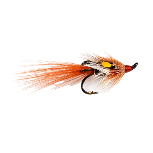 Foxford Shrimp