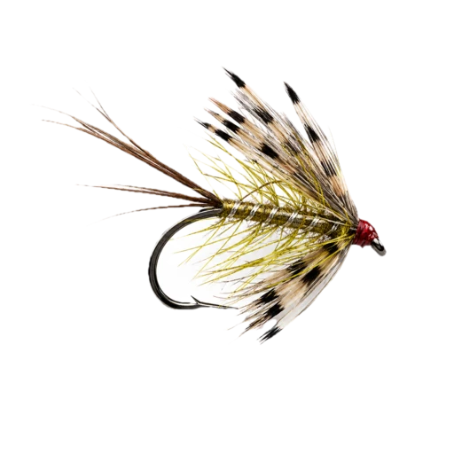French Partridge